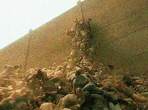 WorldWarZ-300x223.1651552263.gif