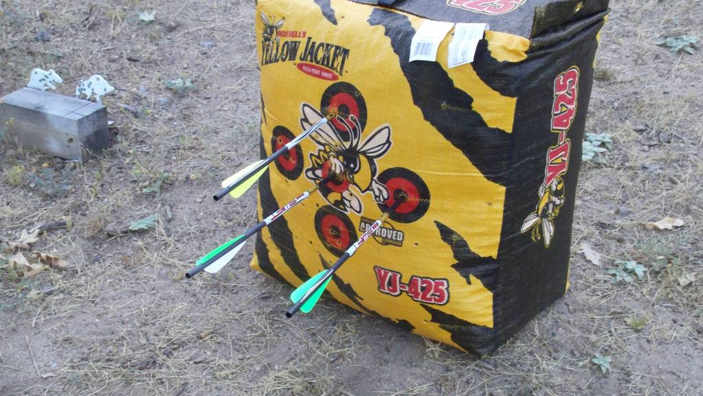 Yellow Jacket Arrow target.1609256130.JPG