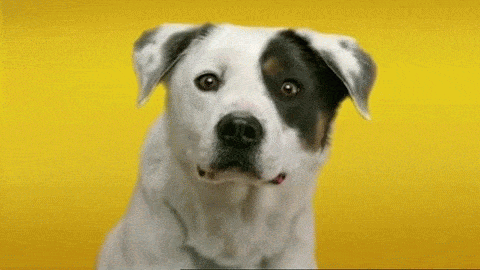 ywdP87.1615333441.gif