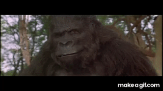 yZ6-rf.gif