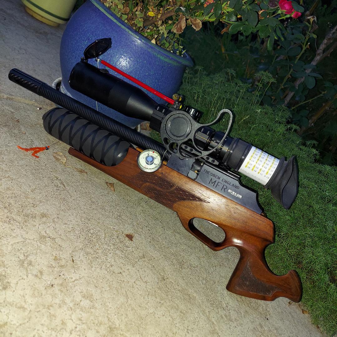 z5.jpg