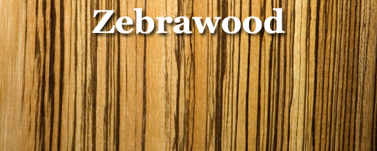 zebrawood_title.1614124012.jpg