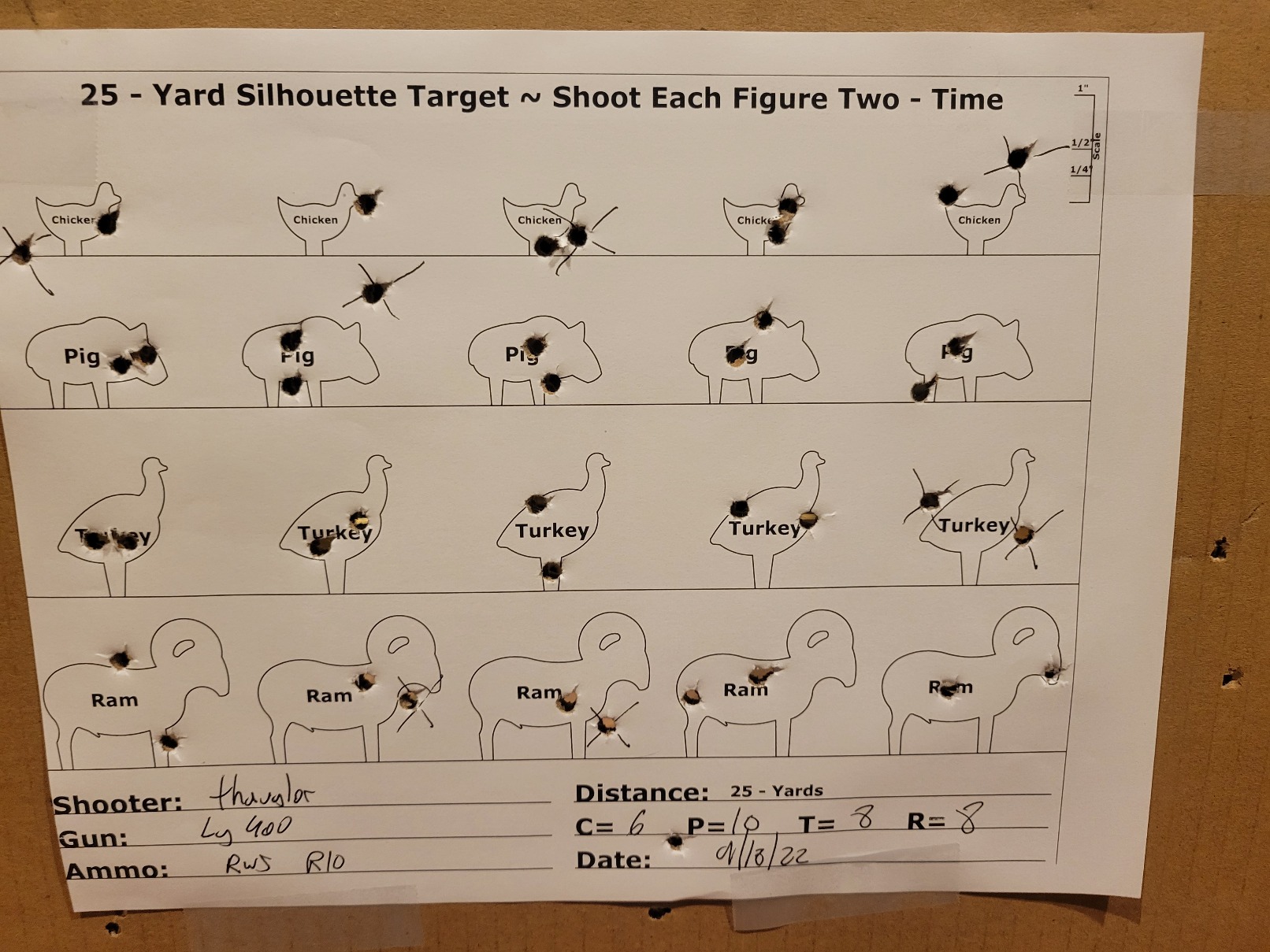 zn_sil_target1.jpg