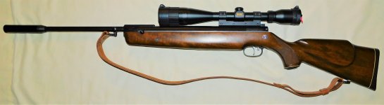 100 Beeman R1 Laserized carbine .22.JPG