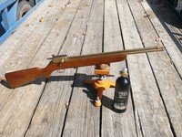 Crosman 118.02.jpg