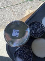 62A43349-08A4-4569-AE0C-82423ABD6BE4.jpeg