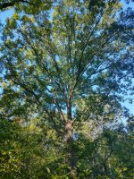 IMG_20221007_094955678_HDR.jpg