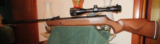1000X .25 cal.jpg