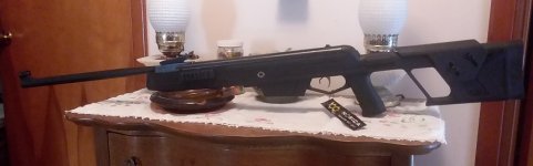 Norica Dead Eye GRS .22.jpg