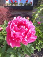B1613084-01C7-4A08-82BD-2A893D2957F4.jpeg