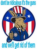 donkey .jpg