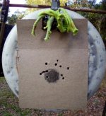 shooter2,75y,r9,cphp.jpg