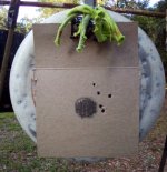 shooter1,75y,cphp.jpg