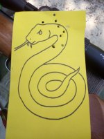 snake shots.jpg