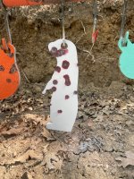 IMG_6915.jpeg