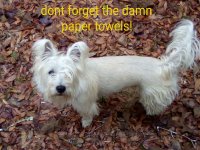 Ruff says....jpg