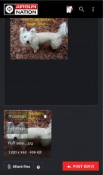 forumpicexample.jpg
