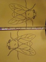 fly size .jpg