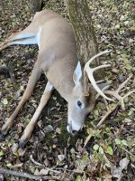 IMG_0532.jpeg