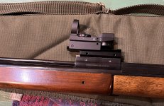 IMG_7821.jpeg