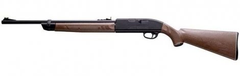 crosman2200a.jpg