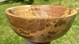 Big bowl9sized.JPG