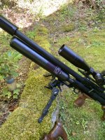 IMG_0570.jpeg