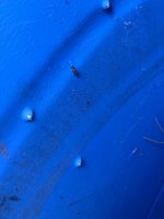 IMG_2161.jpeg
