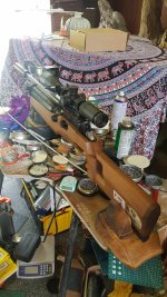 IMG_7073.jpeg