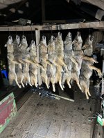 IMG_6177.jpeg