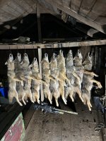 IMG_6176.jpeg