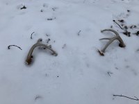 IMG_1296.jpeg