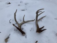 IMG_1297.jpeg