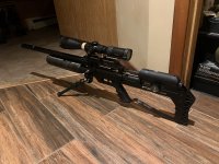 IMG_9873.jpeg