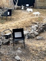 IMG_4826.jpeg