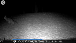 IMG_3939.jpeg