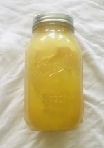 IMG_3248.jpeg