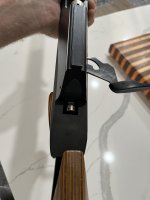 IMG_4537.jpeg