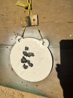 IMG_5133.jpeg