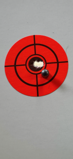 IMG_2202.PNG