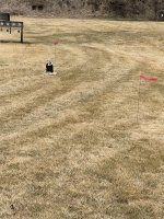 IMG_7281.jpeg