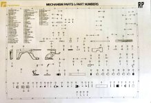 IMG_3276.jpeg