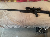 IMG_3871.jpeg
