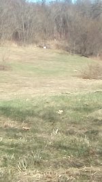 IMG_20250318_153636.jpg