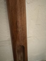 IMG_2180.jpeg