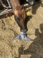IMG_3348.jpeg