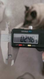 zan35g.jpg