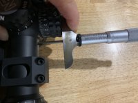 IMG_3784.jpeg