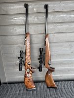 IMG_2226.jpeg