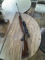 IMG_7043.jpeg